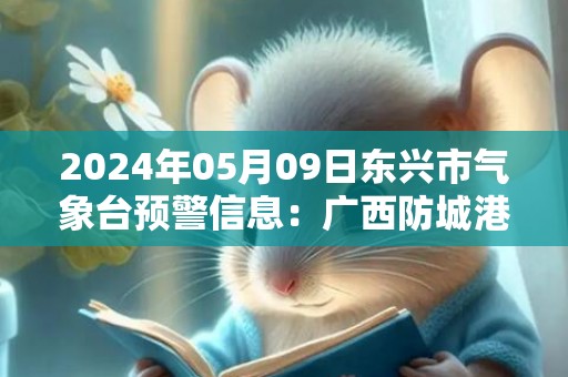 2024年05月09日东兴市气象台预警信息：广西防城港市东兴市发布暴雨橙色预警