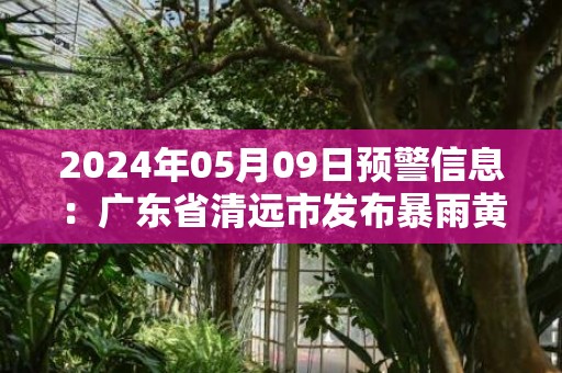 2024年05月09日预警信息：广东省清远市发布暴雨黄色预警