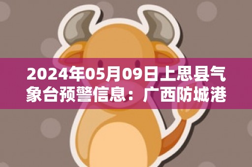 2024年05月09日上思县气象台预警信息：广西防城港市上思县发布暴雨橙色预警