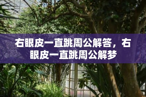 右眼皮一直跳周公解答，右眼皮一直跳周公解梦