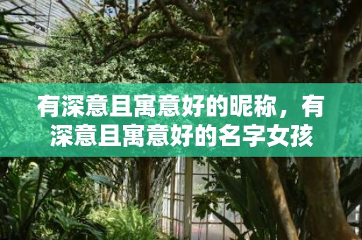 有深意且寓意好的昵称，有深意且寓意好的名字女孩