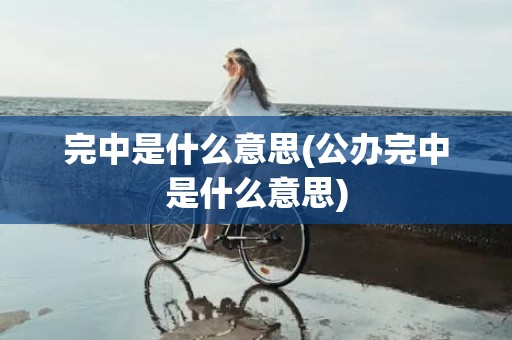 完中是什么意思(公办完中是什么意思)