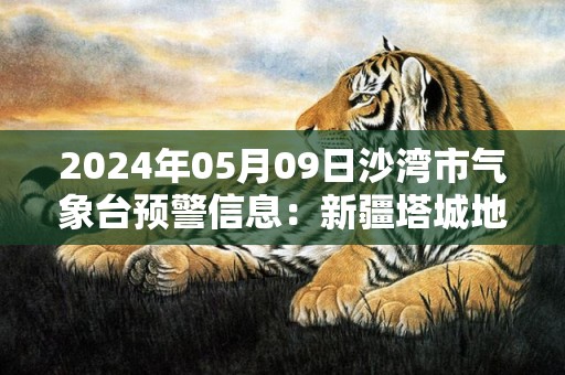 2024年05月09日沙湾市气象台预警信息：新疆塔城地区沙湾县发布冰雹橙色预警