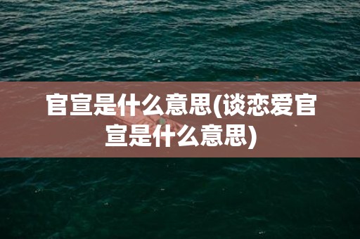 官宣是什么意思(谈恋爱官宣是什么意思)