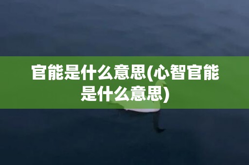 官能是什么意思(心智官能是什么意思)