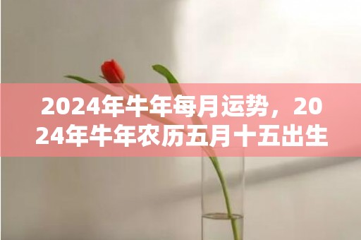 2024年牛年每月运势，2024年牛年农历五月十五出生宝宝好不好