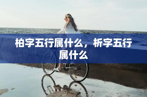 柏字五行属什么，析字五行属什么