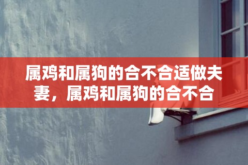 属鸡和属狗的合不合适做夫妻，属鸡和属狗的合不合