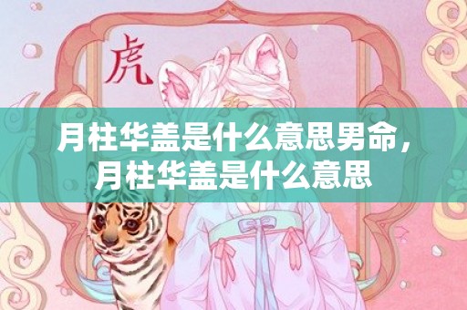 月柱华盖是什么意思男命，月柱华盖是什么意思