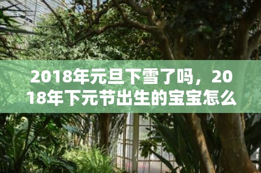 2018年元旦下雪了吗，2018年下元节出生的宝宝怎么取名？孩子性格如何？
