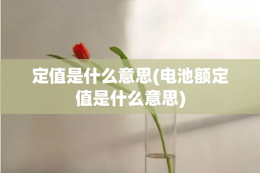 定值是什么意思(电池额定值是什么意思)
