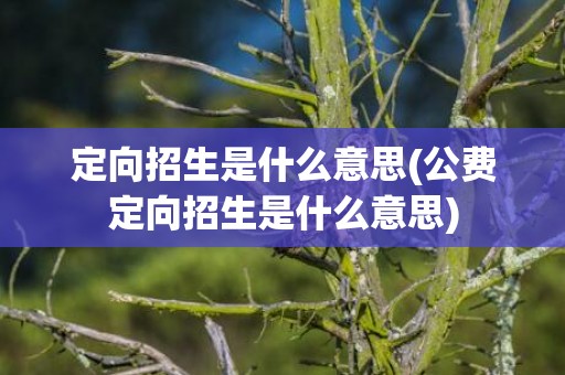 定向招生是什么意思(公费定向招生是什么意思)