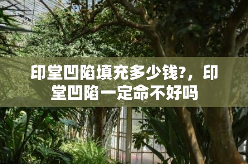 印堂凹陷填充多少钱?，印堂凹陷一定命不好吗