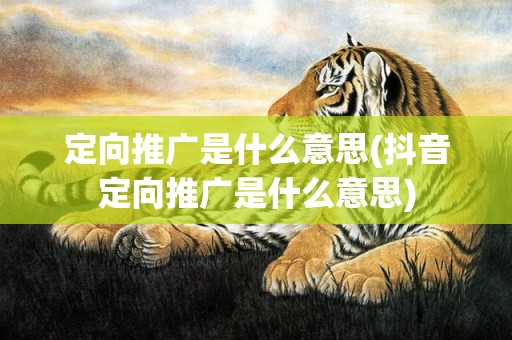 定向推广是什么意思(抖音定向推广是什么意思)