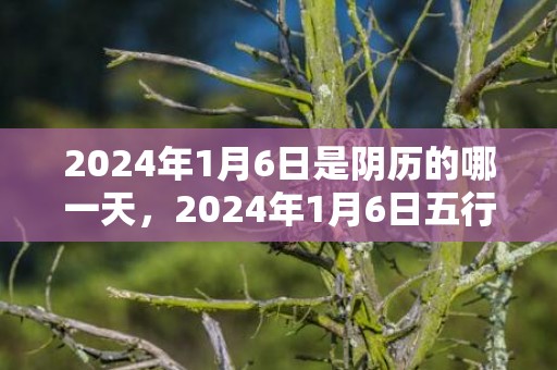 2024年1月6日是阴历的哪一天，2024年1月6日五行穿衣