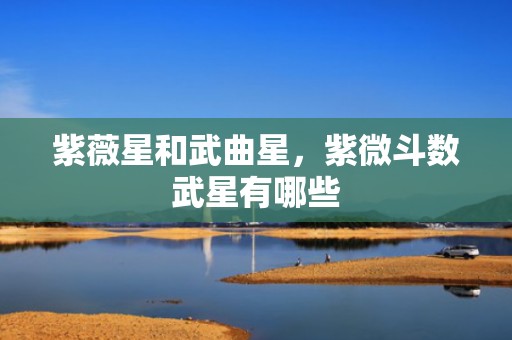 紫薇星和武曲星，紫微斗数武星有哪些