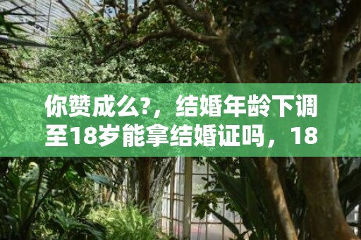 你赞成么?，结婚年龄下调至18岁能拿结婚证吗，18周岁结婚领证了,结婚证有效吗