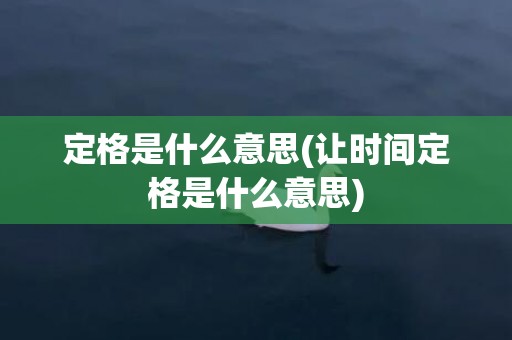 定格是什么意思(让时间定格是什么意思)