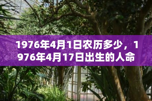 1976年4月1日农历多少，1976年4月17日出生的人命好吗