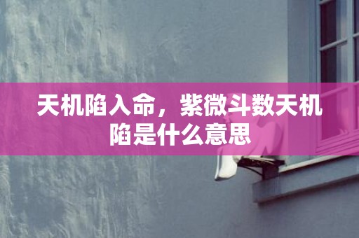 天机陷入命，紫微斗数天机陷是什么意思