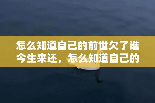 怎么知道自己的前世欠了谁今生来还，怎么知道自己的前世
