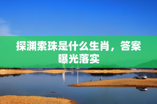 探渊索珠是什么生肖，答案曝光落实
