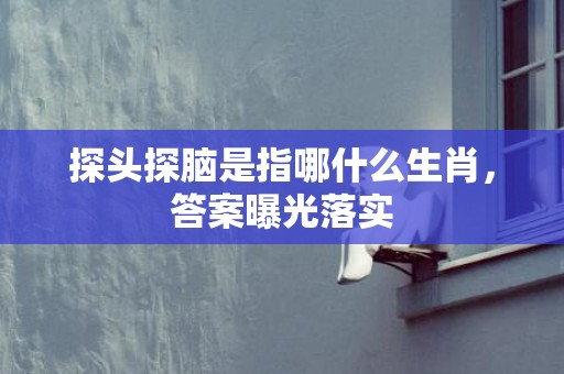 探头探脑是指哪什么生肖，答案曝光落实