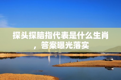探头探脑指代表是什么生肖，答案曝光落实