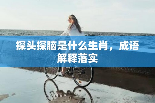 探头探脑是什么生肖，成语解释落实