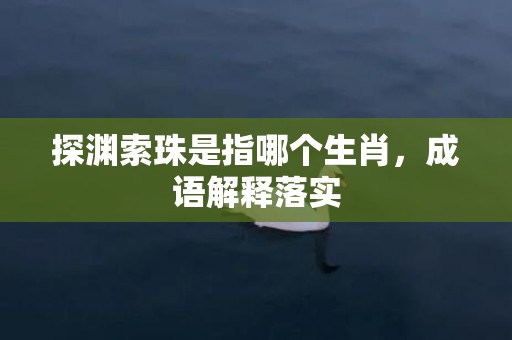 探渊索珠是指哪个生肖，成语解释落实