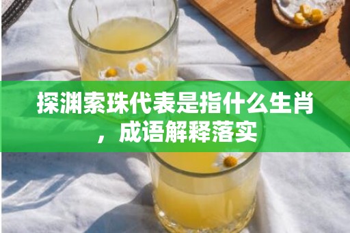 探渊索珠代表是指什么生肖，成语解释落实