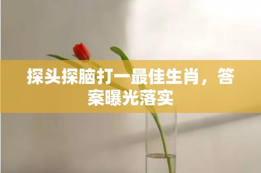 探头探脑打一最佳生肖，答案曝光落实