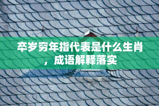 卒岁穷年指代表是什么生肖，成语解释落实
