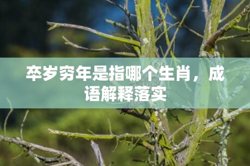 卒岁穷年是指哪个生肖，成语解释落实