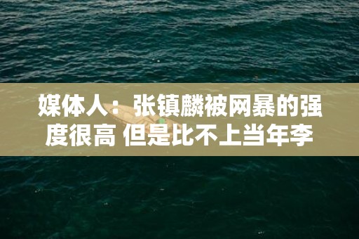 媒体人：张镇麟被网暴的强度很高 但是比不上当年李毅的大帝风波
