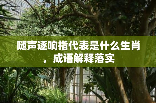 随声逐响指代表是什么生肖，成语解释落实