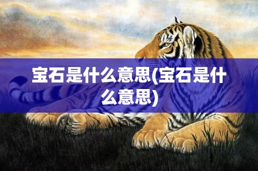 宝石是什么意思(宝石是什么意思)