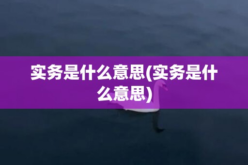 实务是什么意思(实务是什么意思)