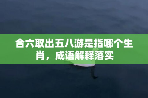 合六取出五八游是指哪个生肖，成语解释落实
