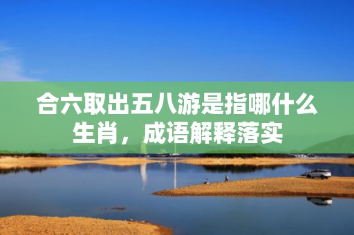 合六取出五八游是指哪什么生肖，成语解释落实