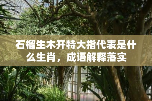 石榴生木开特大指代表是什么生肖，成语解释落实
