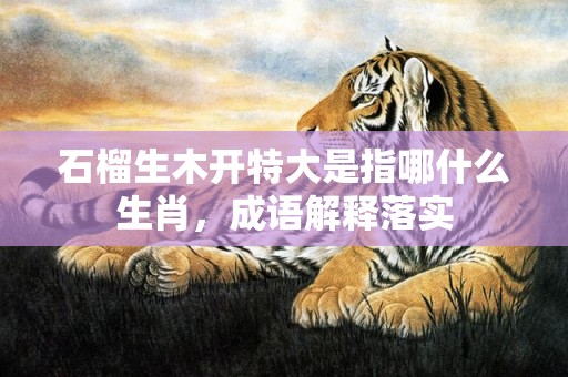 石榴生木开特大是指哪什么生肖，成语解释落实