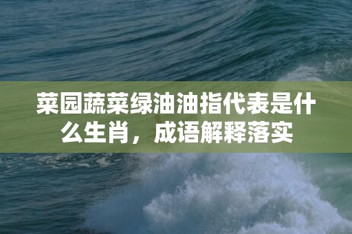 菜园蔬菜绿油油指代表是什么生肖，成语解释落实
