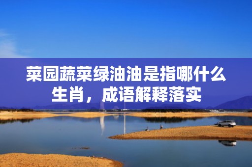 菜园蔬菜绿油油是指哪什么生肖，成语解释落实