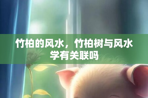 竹柏的风水，竹柏树与风水学有关联吗
