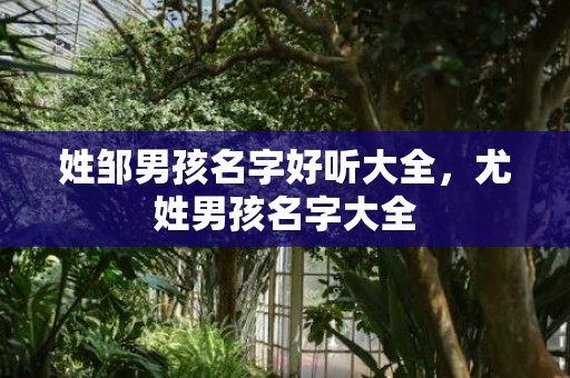 姓邹男孩名字好听大全，尤姓男孩名字大全