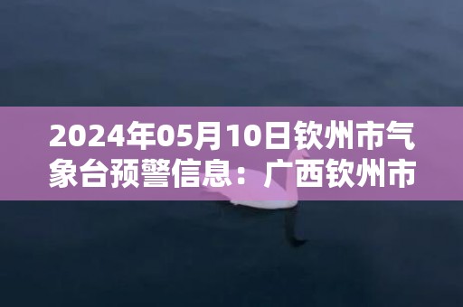 2024年05月10日钦州市气象台预警信息：广西钦州市更新暴雨红色预警
