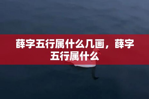 薛字五行属什么几画，薛字五行属什么