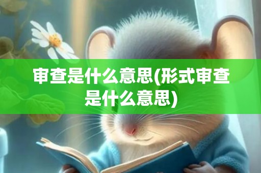 审查是什么意思(形式审查是什么意思)