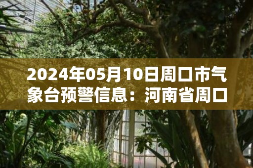 2024年05月10日周口市气象台预警信息：河南省周口市发布大风蓝色预警